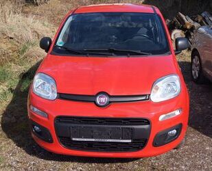 Fiat Panda Gebrauchtwagen