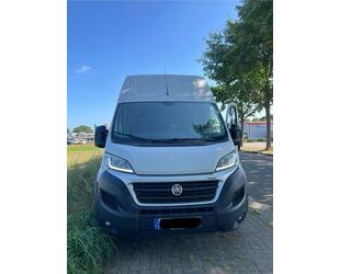 Fiat Ducato Gebrauchtwagen