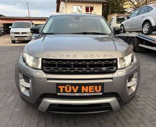 Land Rover Range Rover Evoque Gebrauchtwagen