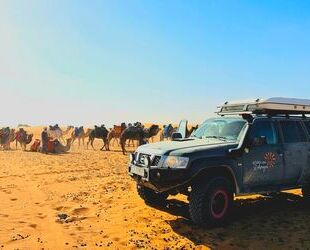 Nissan Patrol Gebrauchtwagen