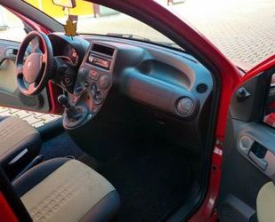 Fiat Panda Gebrauchtwagen