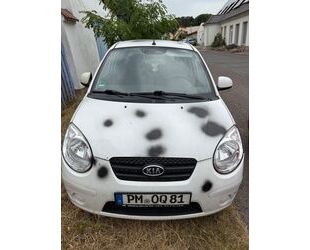 Kia Picanto Gebrauchtwagen