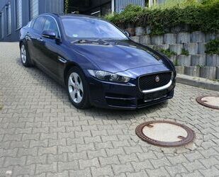 Jaguar XE Gebrauchtwagen