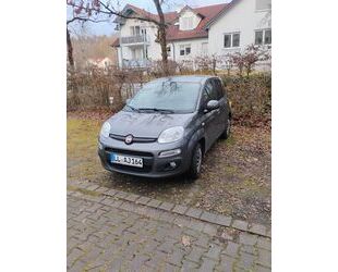 Fiat New Panda Gebrauchtwagen