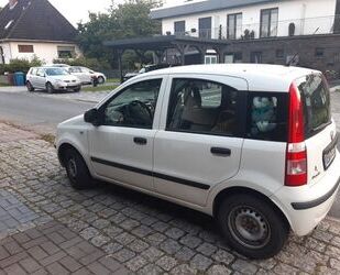 Fiat Panda Gebrauchtwagen