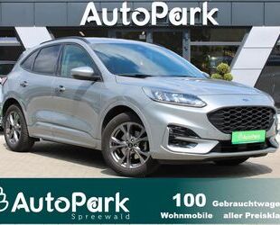 Ford Kuga Gebrauchtwagen