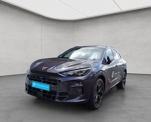 Cupra Terramar Gebrauchtwagen