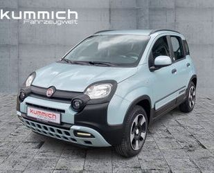 Fiat Panda Gebrauchtwagen
