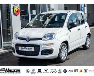 Fiat Panda Gebrauchtwagen