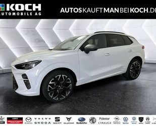 Cupra Terramar Gebrauchtwagen