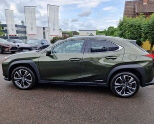 Lexus UX Gebrauchtwagen