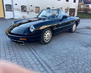 Alfa Romeo Spider Gebrauchtwagen