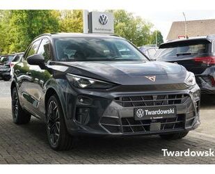 Cupra Terramar Gebrauchtwagen