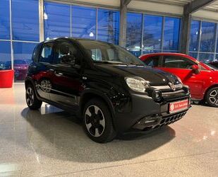 Fiat Panda Gebrauchtwagen