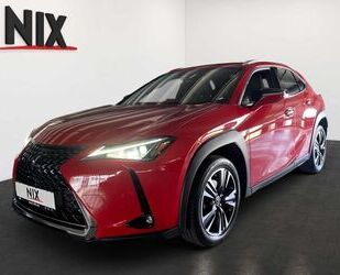 Lexus UX Gebrauchtwagen