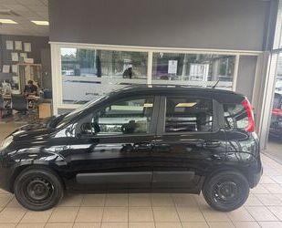 Fiat Panda Gebrauchtwagen