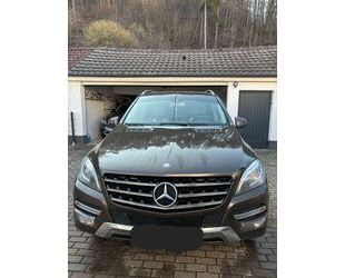 Mercedes-Benz ML 250 Gebrauchtwagen