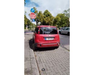 Fiat Panda Gebrauchtwagen