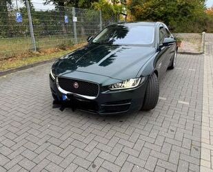 Jaguar XE Gebrauchtwagen