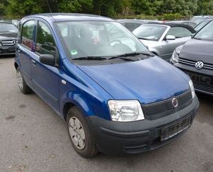 Fiat Panda Gebrauchtwagen