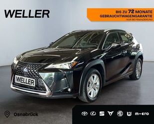 Lexus UX Gebrauchtwagen