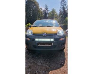 Fiat Panda Gebrauchtwagen