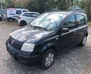 Fiat Panda Gebrauchtwagen