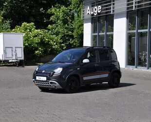 Fiat Panda Gebrauchtwagen