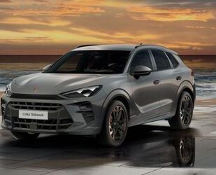 Cupra Terramar Gebrauchtwagen