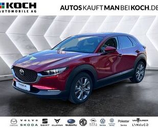 Mazda CX-30 Gebrauchtwagen