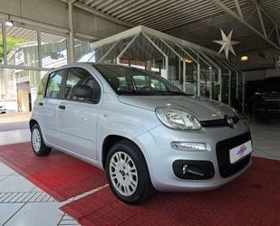 Fiat Panda Gebrauchtwagen