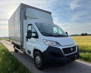 Fiat Ducato Gebrauchtwagen