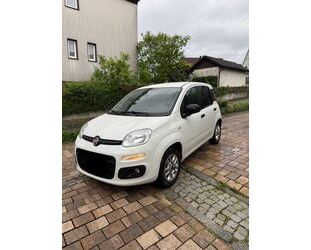 Fiat New Panda Gebrauchtwagen