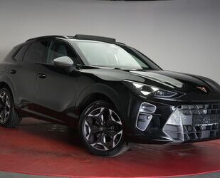 Cupra Terramar Gebrauchtwagen