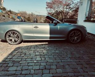 Audi S5 Gebrauchtwagen