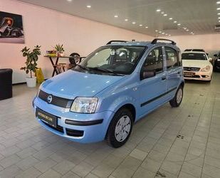 Fiat Panda Gebrauchtwagen