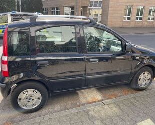 Fiat Panda Gebrauchtwagen