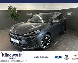 Cupra Terramar Gebrauchtwagen