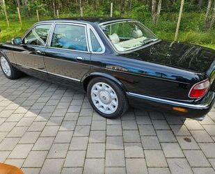 Jaguar Daimler Gebrauchtwagen