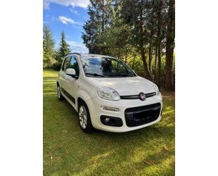 Fiat Panda Gebrauchtwagen