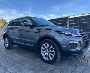 Land Rover Range Rover Evoque Gebrauchtwagen