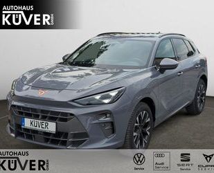 Cupra Terramar Gebrauchtwagen