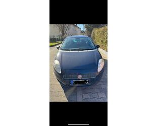 Fiat Punto Gebrauchtwagen