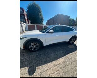 Ford Mustang Mach-E Gebrauchtwagen