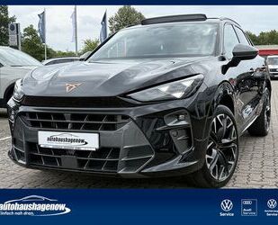 Cupra Terramar Gebrauchtwagen