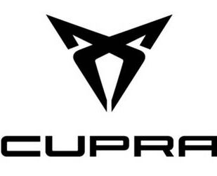 Cupra Born Gebrauchtwagen