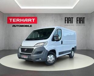 Fiat Ducato Gebrauchtwagen