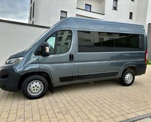 Fiat Ducato Gebrauchtwagen