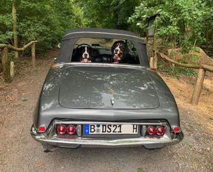 Citroen DS Gebrauchtwagen