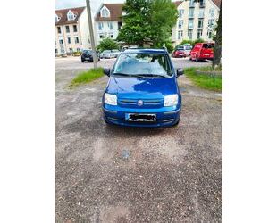 Fiat Panda Gebrauchtwagen